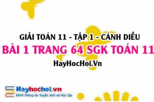 Giải bài 1 trang 64 Toán 11 tập 1 SGK Cánh Diều